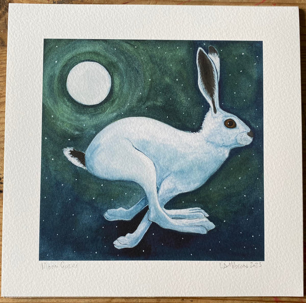 Moon Hare